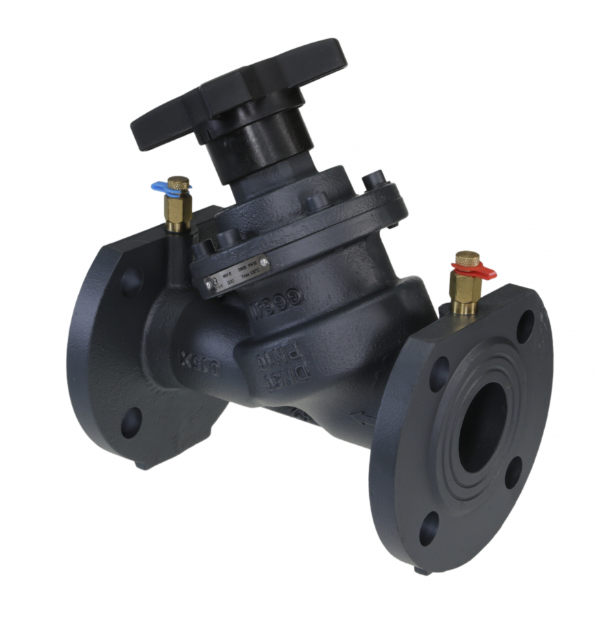 MNF-R DN300 PN16 003Z1169R