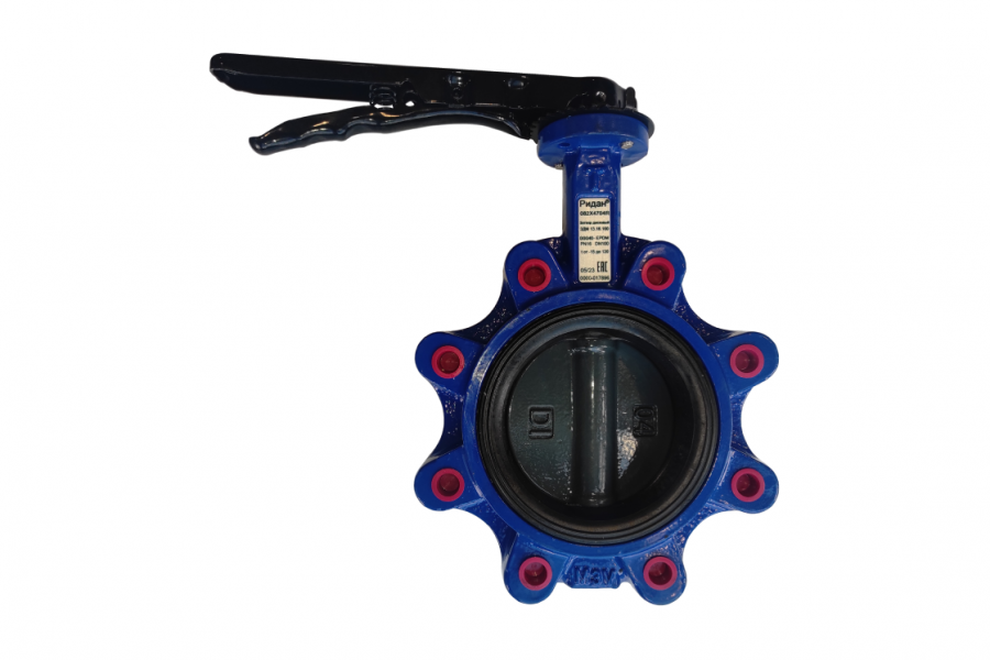 ЗДМ PN25 DN80 GGG40 316